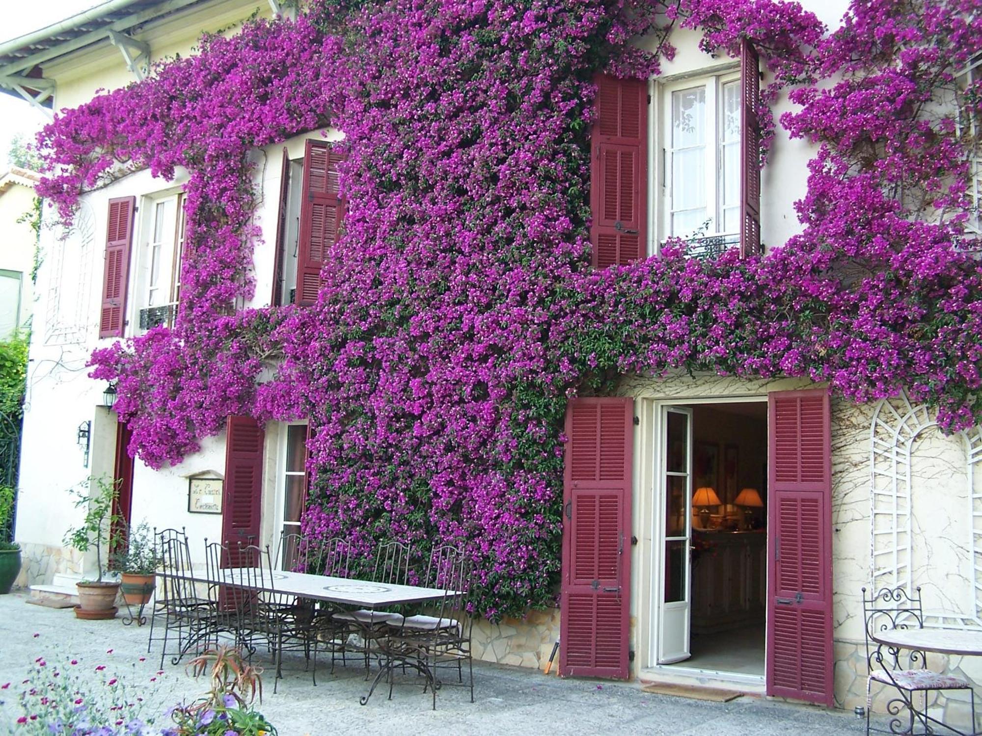 Castel Enchante Nisa Exterior foto