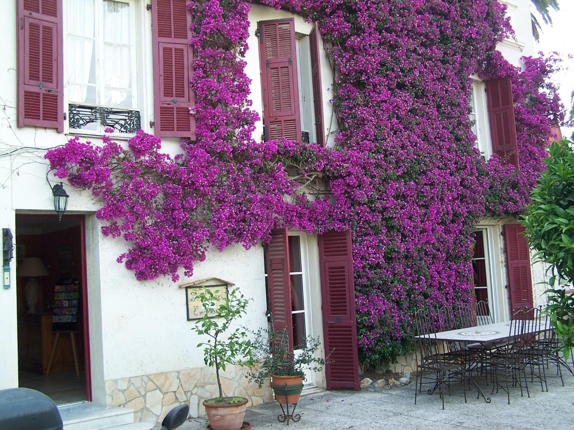Castel Enchante Nisa Exterior foto