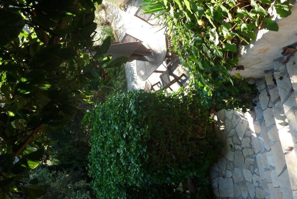 Castel Enchante Nisa Exterior foto